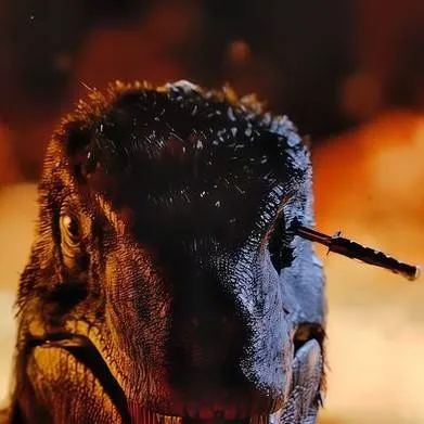 chat with ai character: Primitive war