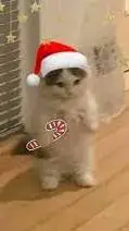 ai character: christmas background