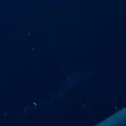 chat with ai character: warrior cats