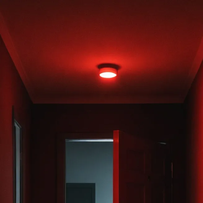 chat with ai character: I'm in your house