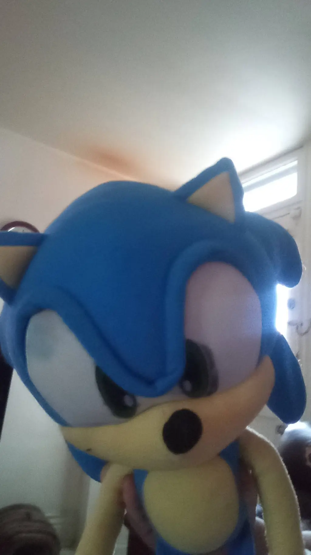 ai character: Sonic  background