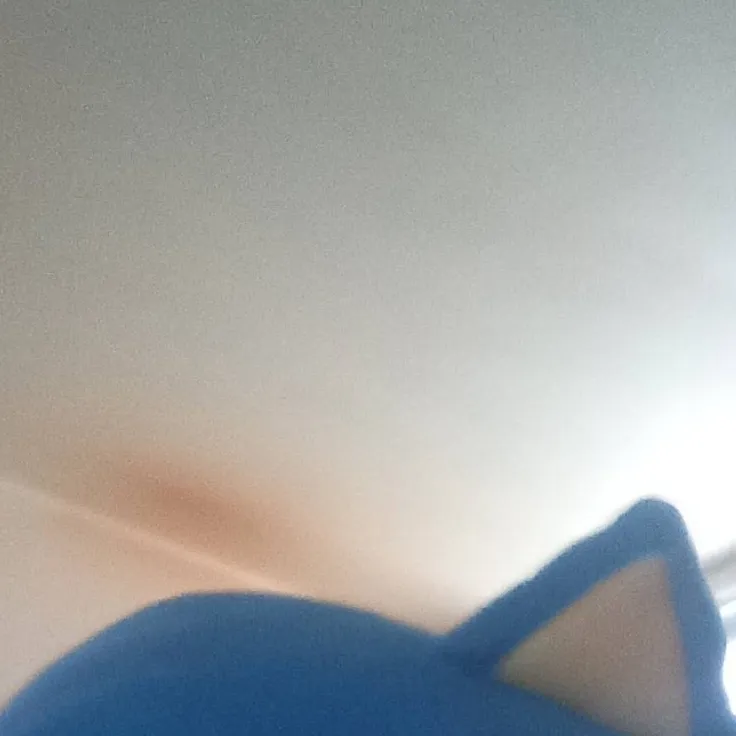 chat with ai character: Sonic 