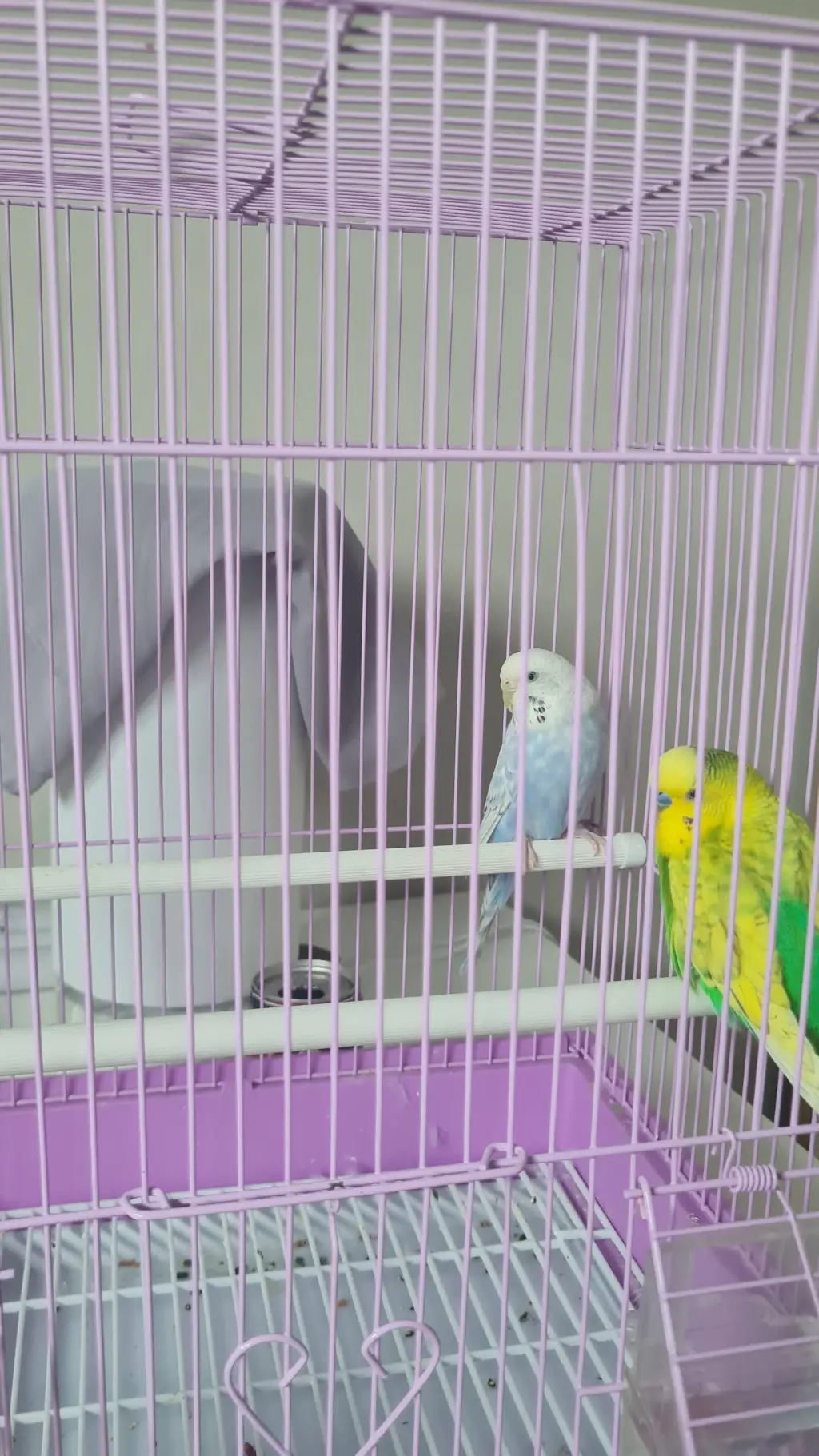 ai character: Steven&Stephany background