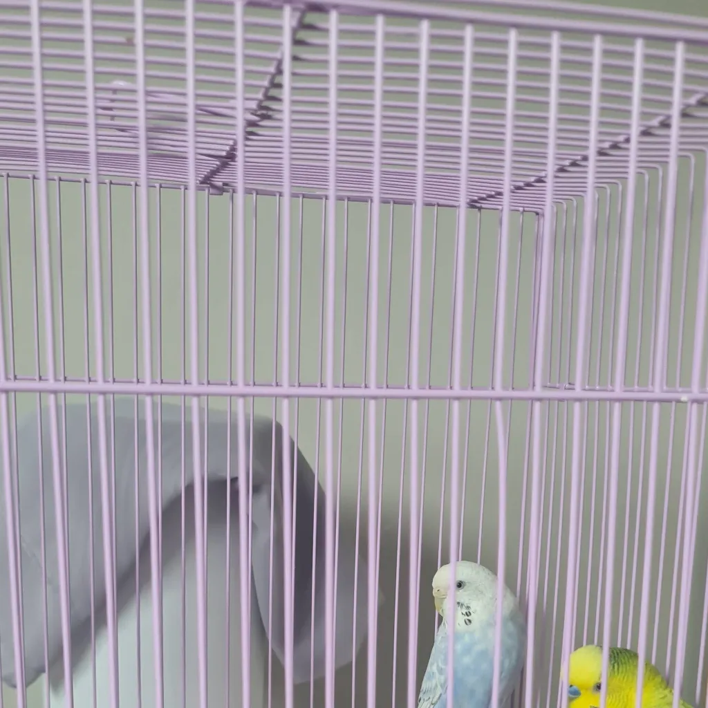 chat with ai character: Steven&Stephany