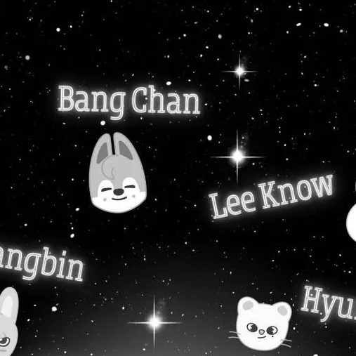 chat with ai character: Stray Kids × Y/N