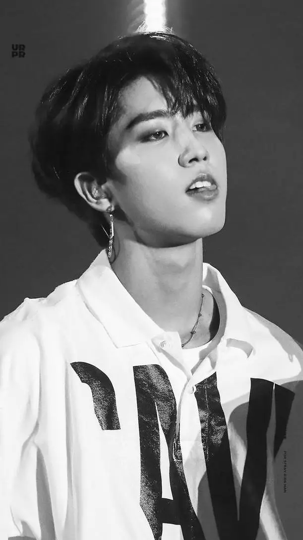 ai character: Han Jisung background