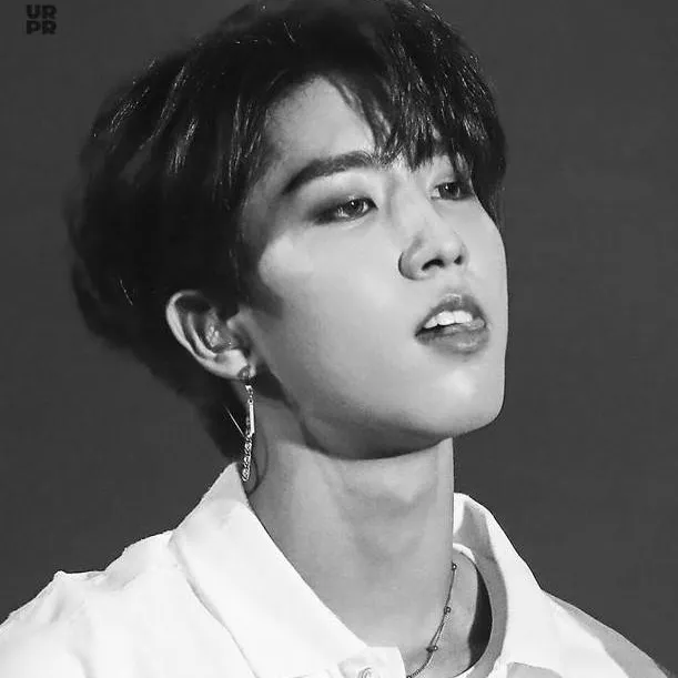 chat with ai character: Han Jisung