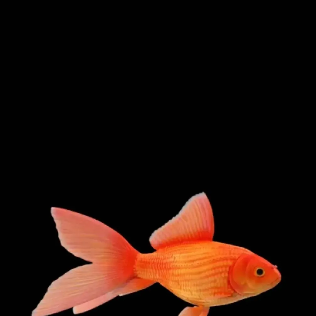 chat with ai character: anomalías 2