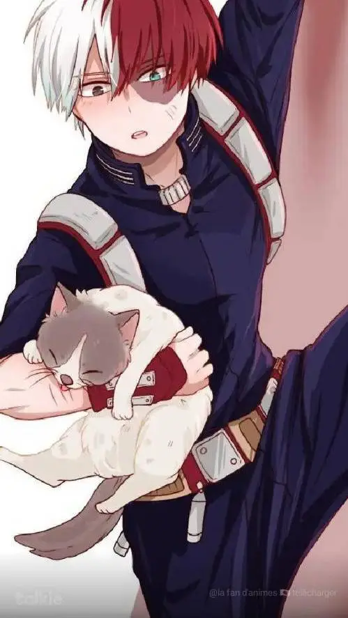 ai character: 🥰😍shoto🥰😍 background