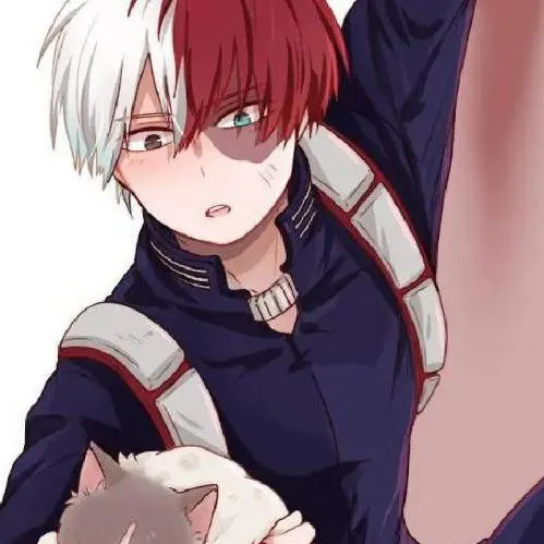 chat with ai character: 🥰😍shoto🥰😍