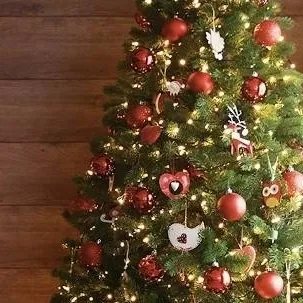 chat with ai character: Outer Banks