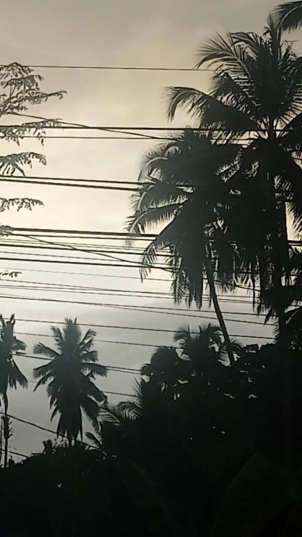 ai character: Jacob background