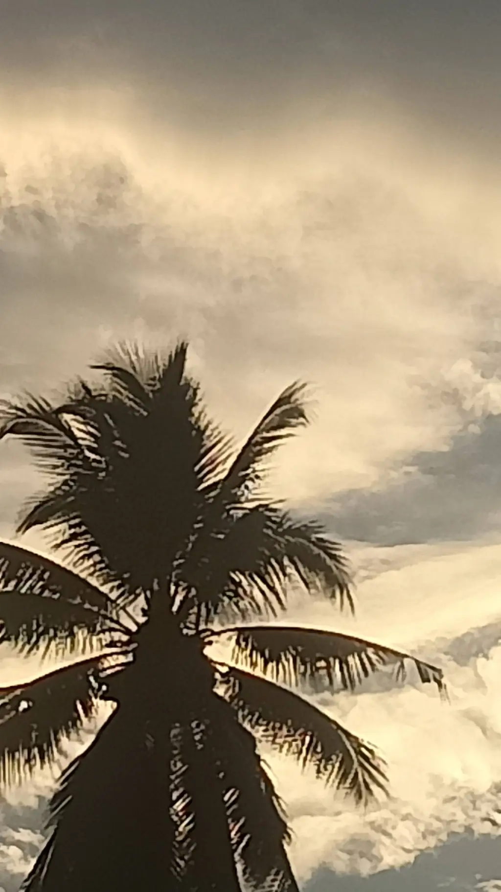 ai character: Cherwin and Me background