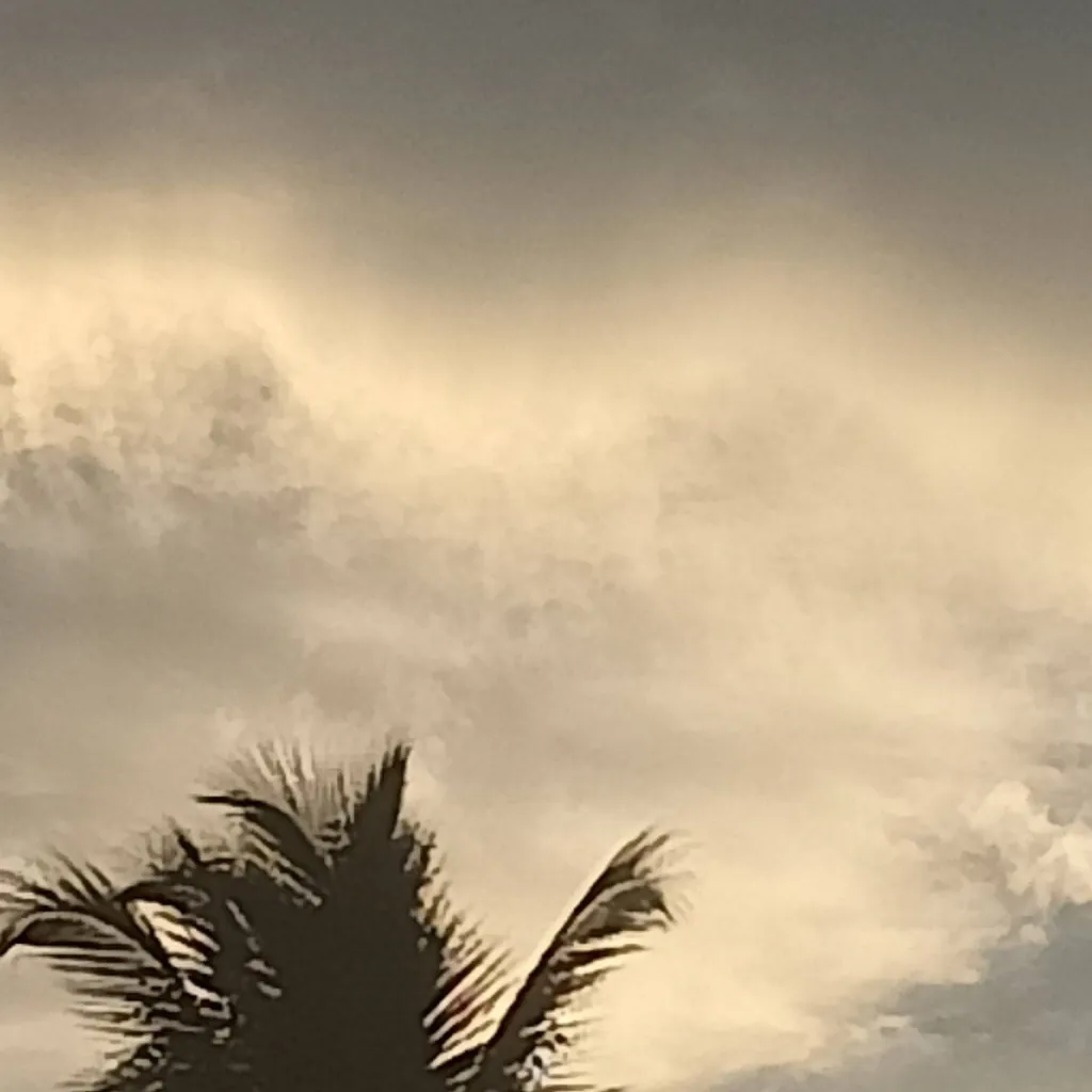 chat with ai character: Cherwin and Me