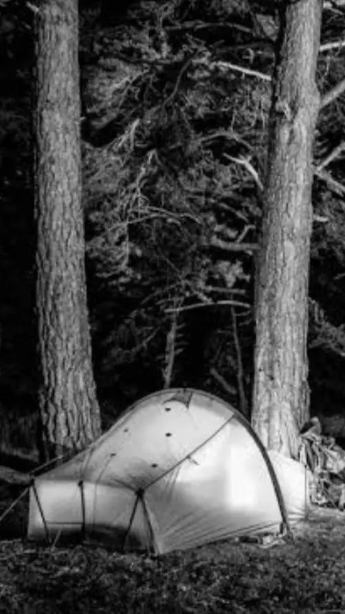 Talkie AI - Chat with Camping+Dekubowl🏞💘