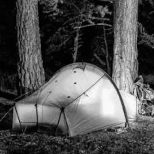 chat with ai character: Camping+Dekubowl🏞💘