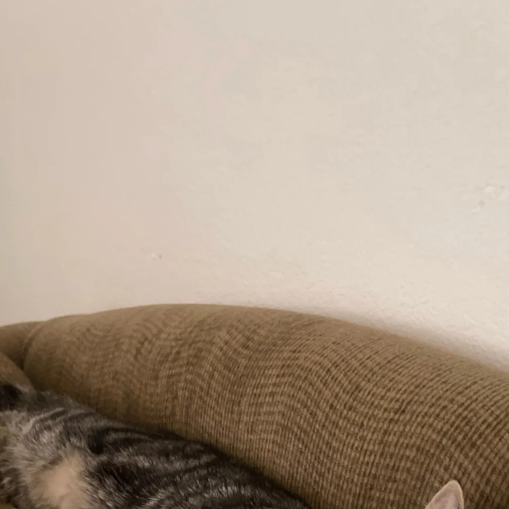 chat with ai character: Happy lateNew Year