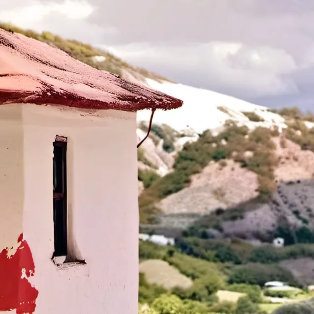 chat with ai character: MANGO MANGO MANGO 