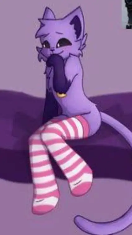 ai character: catnap girl background