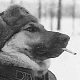 chat with ai character: perro soviético 