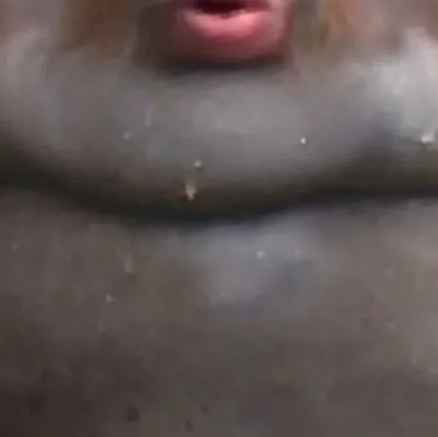 chat with ai character: The destroyer￼