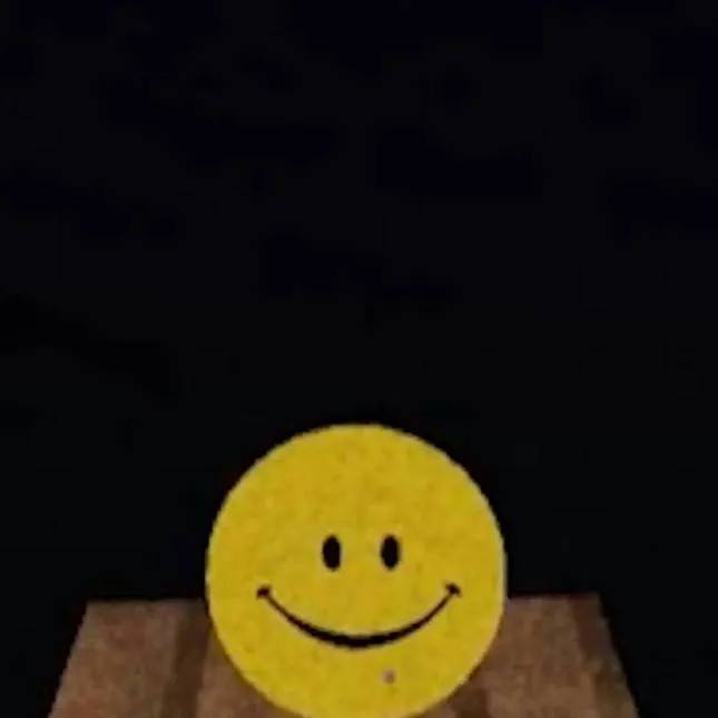 chat with ai character: Verity™