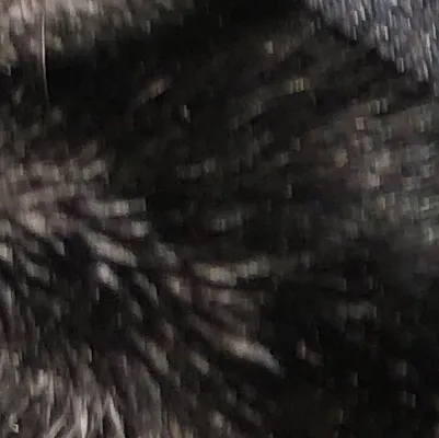 chat with ai character: Alfie