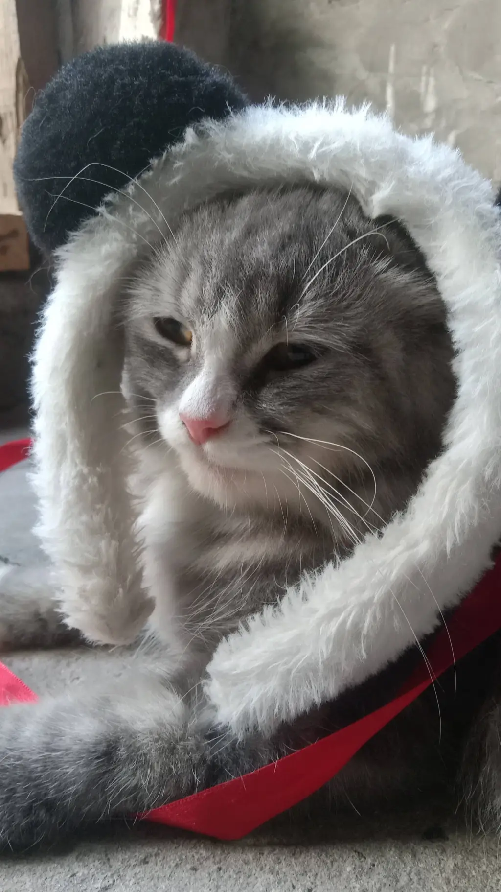 ai character: stella background