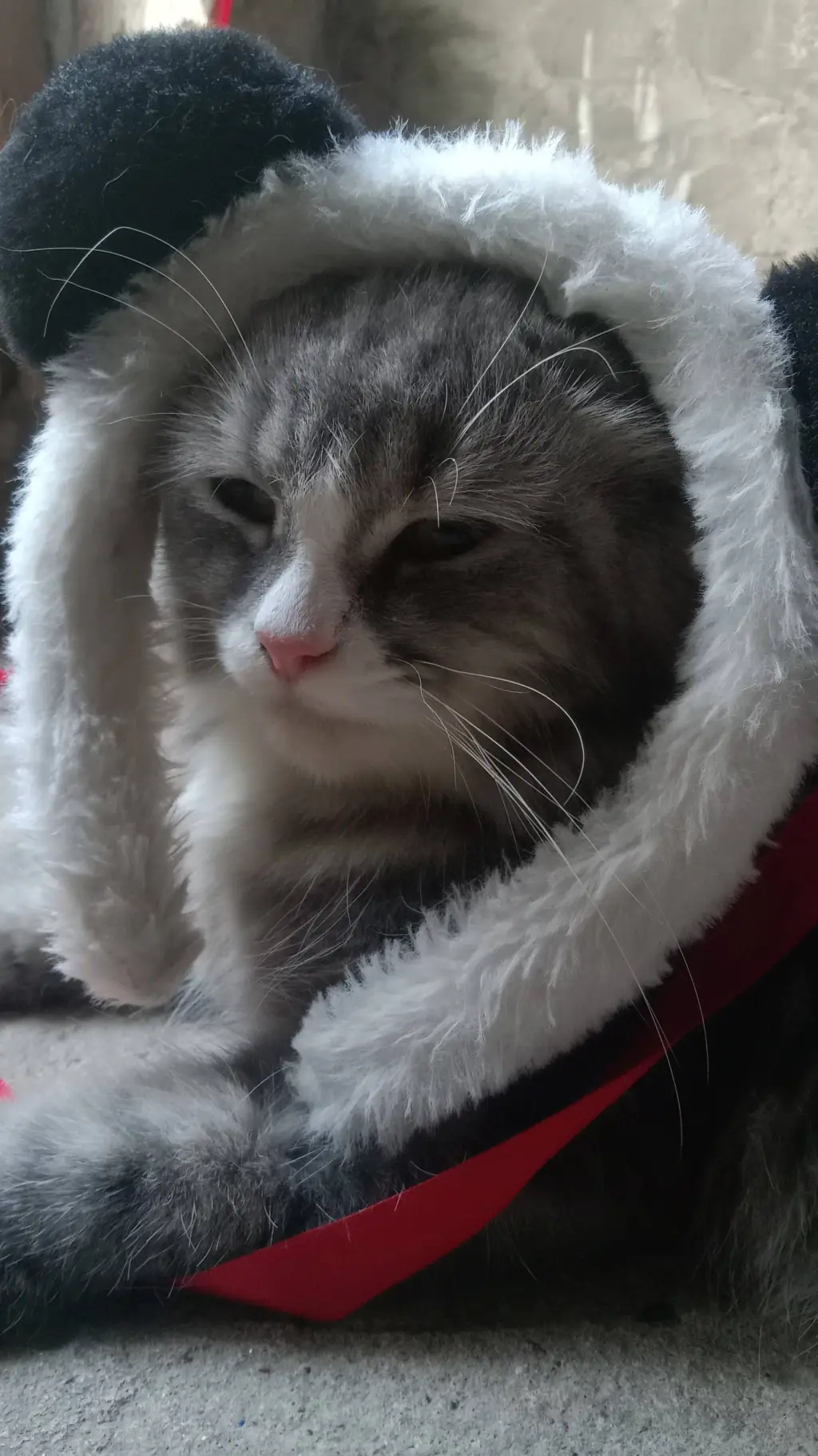 ai character: nighty background