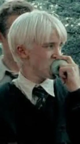 ai character: Draco Malfoy  background