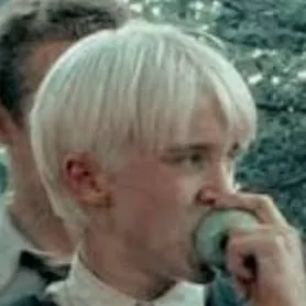 chat with ai character: Draco Malfoy 