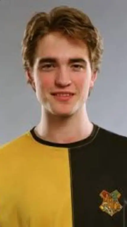 ai character: Cedric Diggory background