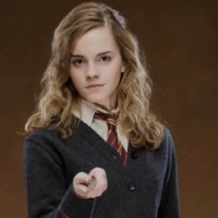 chat with ai character: Hermione Granger 