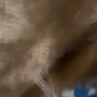 chat with ai character: Milo