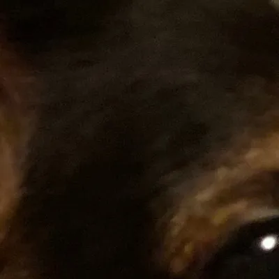 chat with ai character: Harry