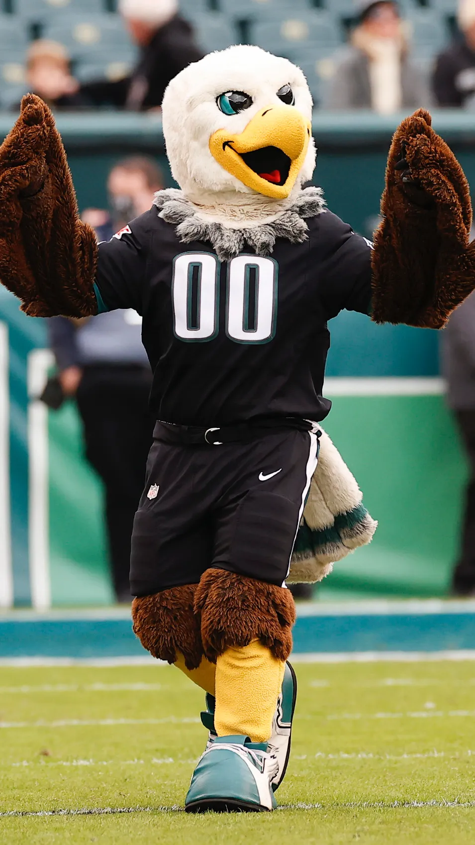 ai character: Swoop background