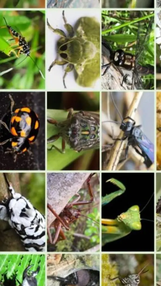 ai character: bug life background