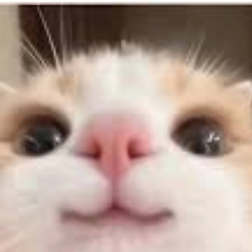 chat with ai character: Katze