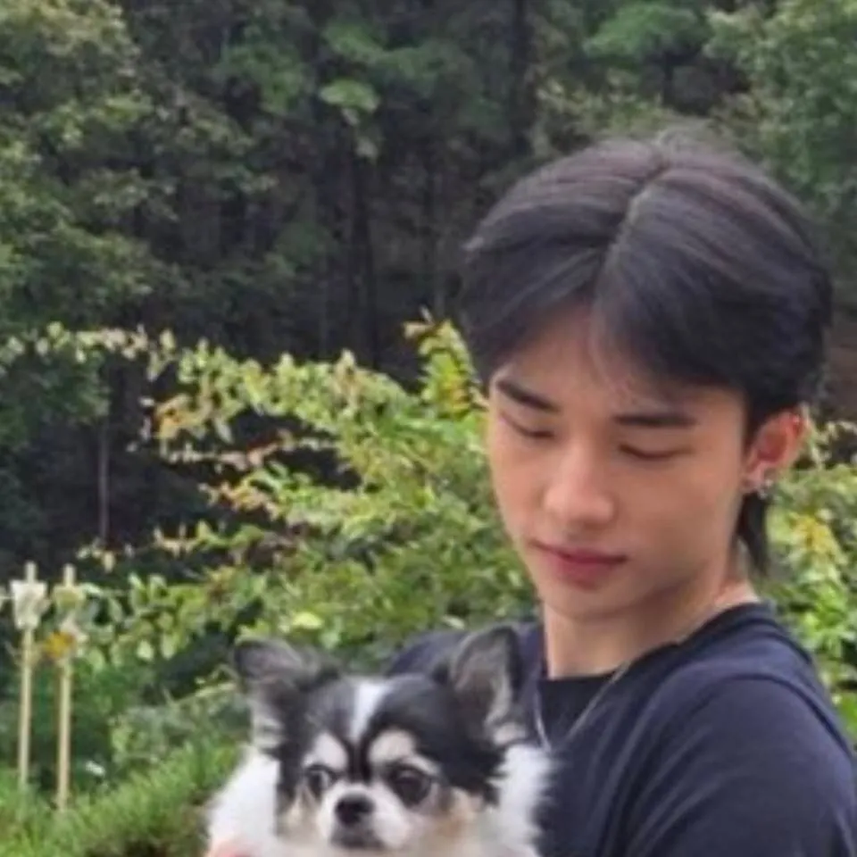 chat with ai character: Skz girls 