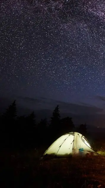 ai character: -MHA camp out- background