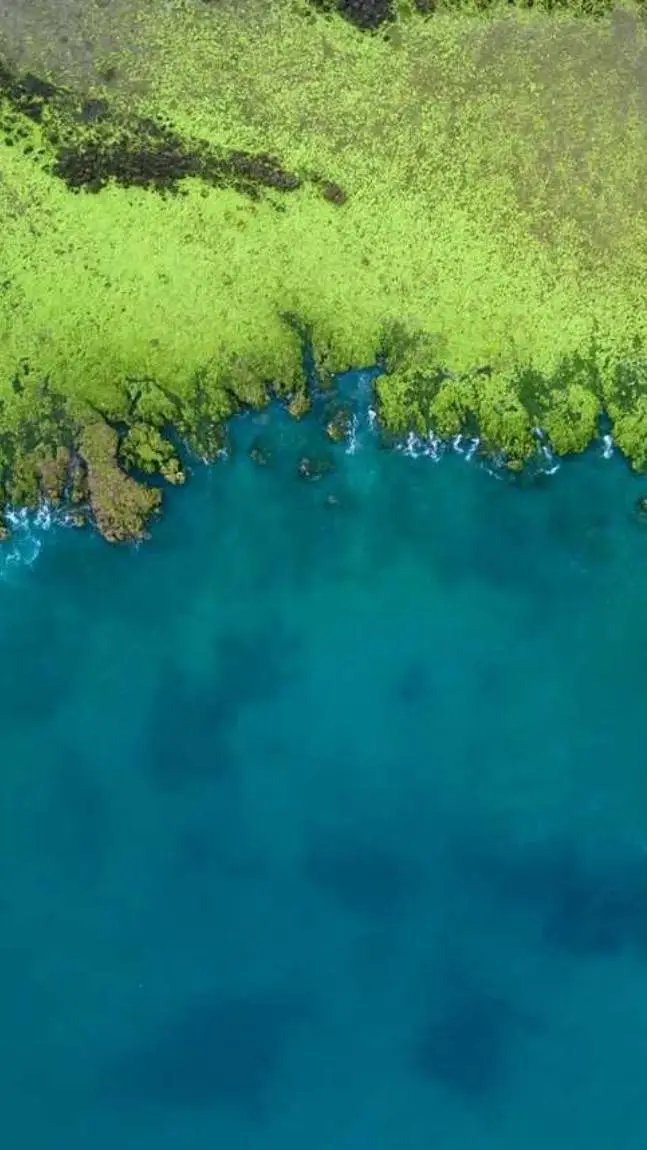 ai character: wenda x gray background