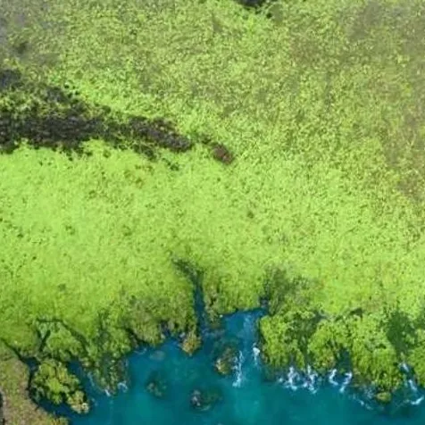 chat with ai character: weird wenda?