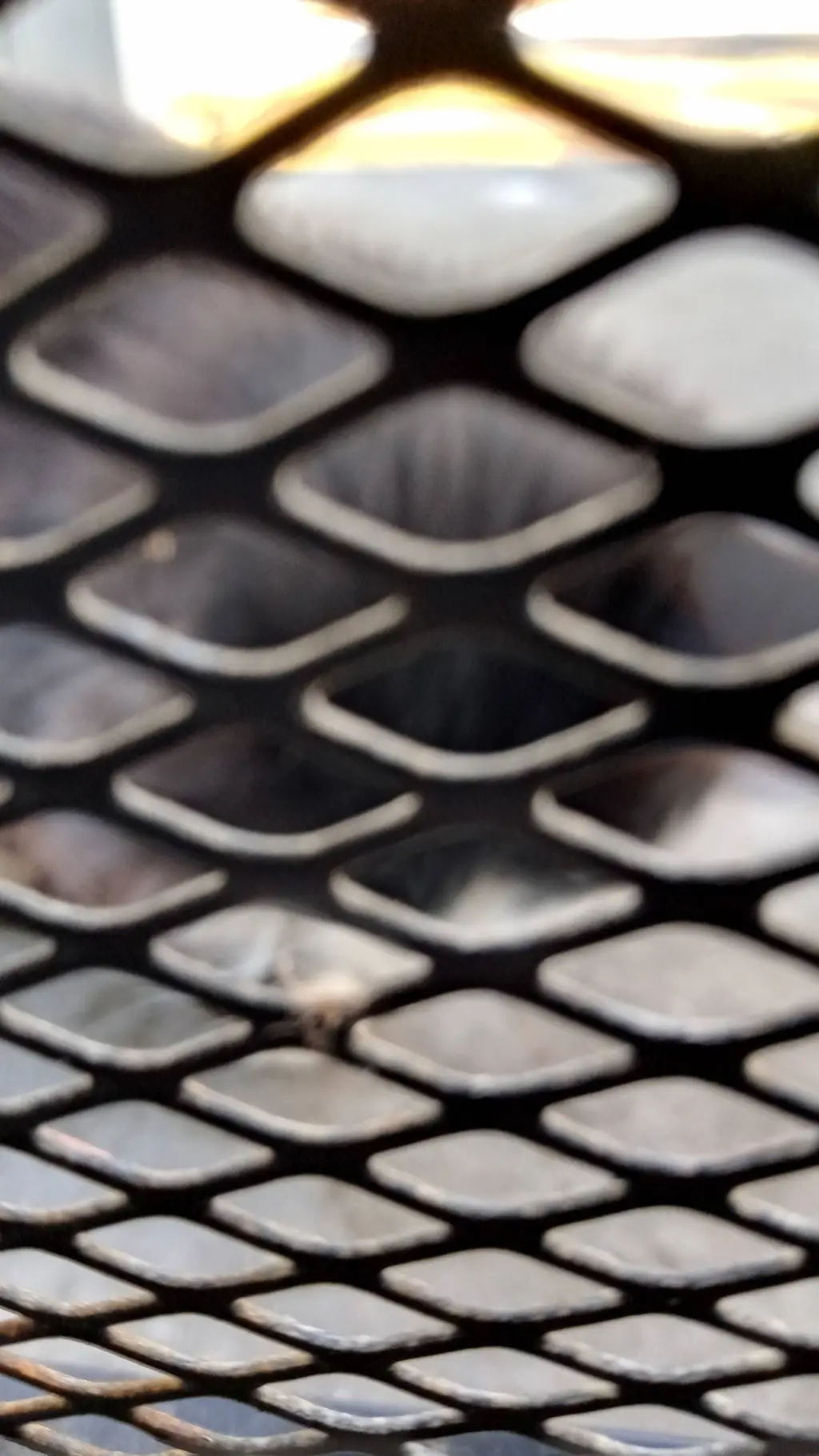 ai character: wenda x gray  background