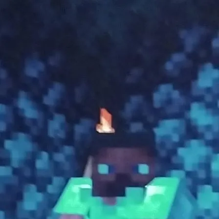 chat with ai character: Steve