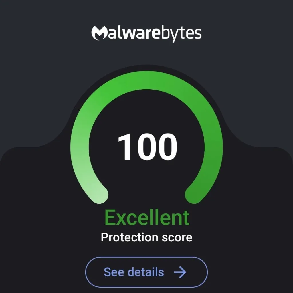 chat with ai character: Malwarebytes 