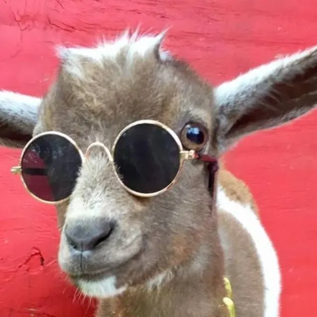 chat with ai character: RICH GOAT (male)