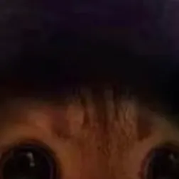 chat with ai character: Your cat