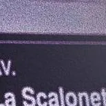 chat with ai character: Scaloneta 