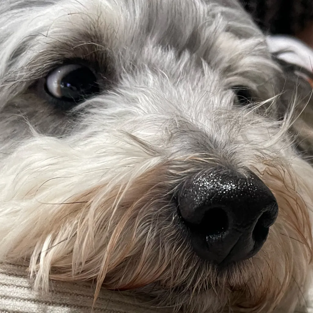 chat with ai character: JIMMMMMY 2026-