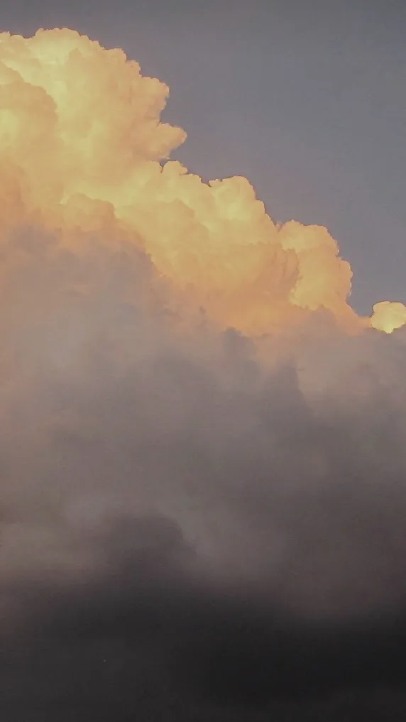 ai character: ~Anything~ background